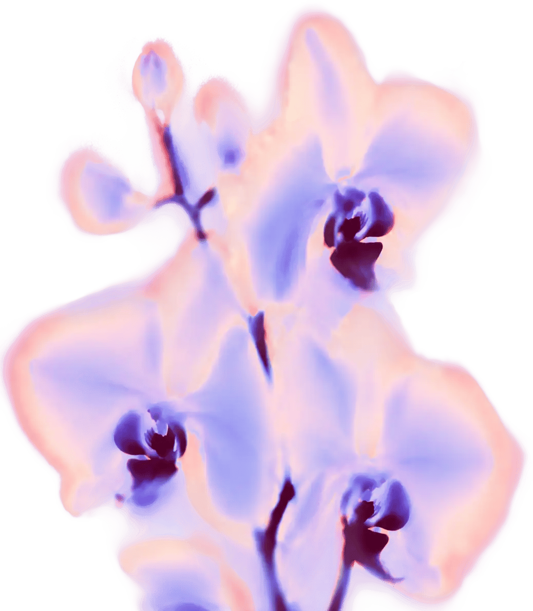 Purple Garden spiritual flower