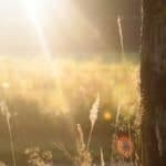 The Most Effective Summer Solstice Rituals You Should Try