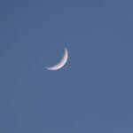 Illuminating Your Path with New Moon Tarot Spreads
