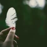 What Does it Mean When You Find a Feather?