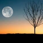 Moon in Retrograde: Unveiling Its Mystical Impact on Your Life