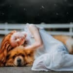 5 Best Dream Interpretation Websites for Decoding Your Nighttime Vision
