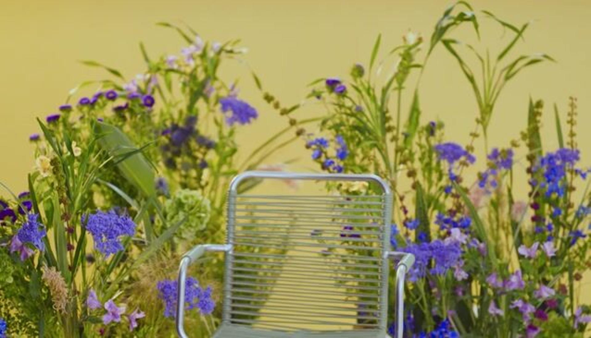 Purple Garden, ‘What We Are, What We’re Not’ video